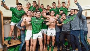 Limerick dominate U-21 hurling Team of the Year nominations