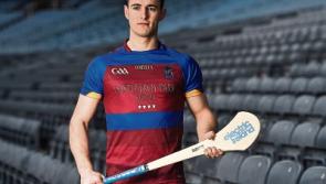 Limerick colleges drawn apart in Fitzgibbon Cup