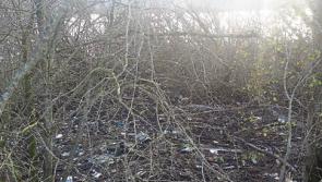 Limerick resident highlights 'disgusting' litter issues on banks of the river Shannon
