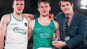 Gardai probe theft of Limerick mayoral chain from councillor's car