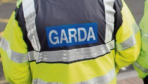 Man who demanded to speak to an 'Irish' guard in Mayo fined &euro;300