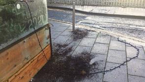 Publican hits out at vandalism caused by 'numpty with no regard for Limerick city'