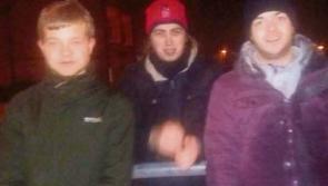 Young men in Limerick hailed as heroes after rescuing dog from freezing River Shannon