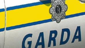 Limerick man confronted live on Facebook in child predator &lsquo;sting&rsquo;