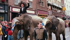 'Limerick legend' Barney Sheehan to be remembered in city