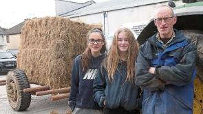 Limerick farmers at wits&rsquo; end over lengthy winter