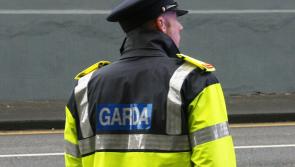 Govt approves increase in sentences for assault against Garda&iacute; and emergency workers