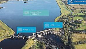 Plans to pump the River Shannon at Parteen Basin 'get more disingenuous with every turn'