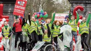 Fourth outing for annual Team Limerick Clean-up praised for its &lsquo;community pride&rsquo;