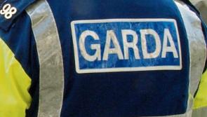 Emergency services called to car crash outside&nbsp;County Limerick primary school