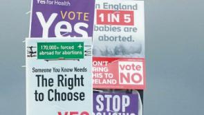 Referendum 2018:&nbsp;139,000 eligible to cast votes in Limerick