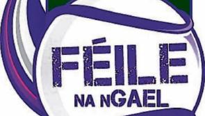 F&eacute;ile na nGael&nbsp;fever takes hold for Limerick GAA clubs