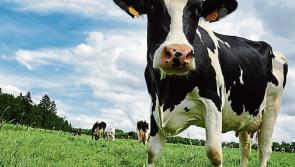 High level of farmers experience stress and  have twice the level of  'likely depression'