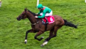 RACING: Top tips and analysis for Gowran Park's card on Wednesday