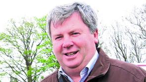 LISTEN: Limerick horse racing trainer Eric McNamara hosts Open Morning