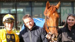 Red-hot Limerick jockey Billy Lee flying high in jockeys championship