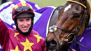 Cheltenham Previews in Adare and Askeaton to benefit Ukraine citizens