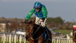 Limerick jockey Mark Enright scores thrilling Dundalk success