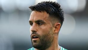 Conor Murray says New Zealand-born trio &lsquo;so important&rsquo; to Ireland World Cup bid