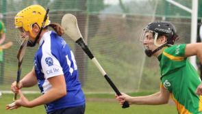 Niamh Mulcahy stars as Ahane claim Limerick senior camogie title