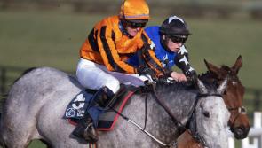It's winners alright for Limerick racing connections