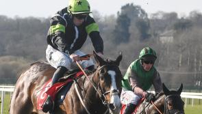 Moyross jockey Wesley Joyce among Limerick winners on the track