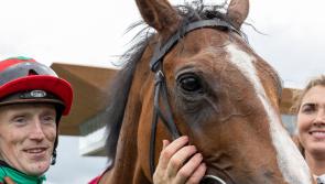 Ballingarry jockey Billy Lee claims third Group 1 success with Pretty Polly win