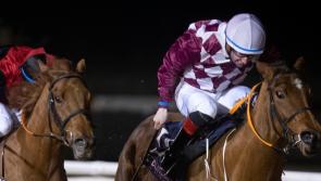 Limerick jockeys Paddy Harnett, Wesley Joyce and Mark Enright visit winners' enclosure