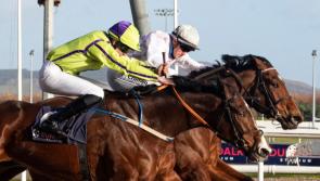 Limerick jockeys visit the winners' enclosure