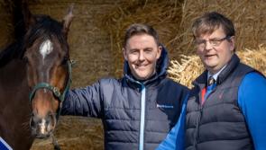 Cheltenham Festival winners to line up in BoyleSports Irish Grand National