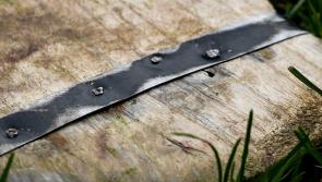 Four Limerick schools learn fate in group draw for upcoming Dr Harty Cup