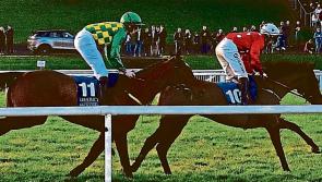 Preview of Limerick's Christmas Racing Festival St Stephen's Day card