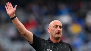 Referee confirmed for Limerick's Munster senior hurling final showdown with Clare