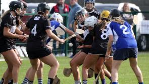 Heartbreak for Newcastle West in Munster senior club camogie semi-final 