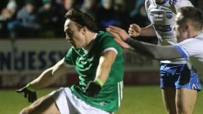 Limerick kick-off Ray Dempsey era with clinical McGrath Cup win over Waterford 