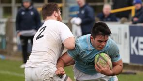 Three Limerick wins on dramatic day of Energia All-Ireland League action