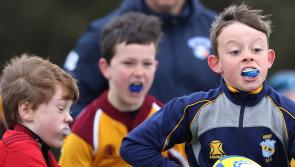 In Pictures: Budding Limerick rugby players showcase talents at Aviva Mini Provincial Festival