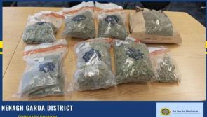 'Sophisticated' grow house discovered in Tipperary