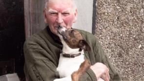 Famous comedian joins campaign to save ex-Garda's dog from being put down