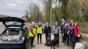 Nearly 100 Limerick groups take part in National Spring Clean 2022