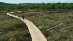Humphreys announces plan to turn Irish bogs into 'ideal locations for recreational use'