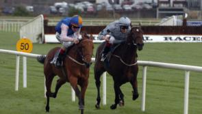 THE PUNTER'S EYE: Three horses worth backing this weekend 