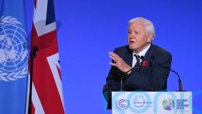 Sir David Attenborough stabbed by &lsquo;dangerous&rsquo; cactus while filming new series