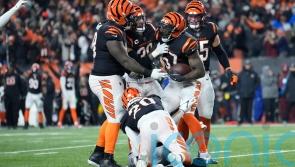 Cincinnati Bengals end 31-year play-off drought with dramatic win