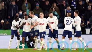 Steven Bergwijn scores twice at the death as Tottenham stun Leicester