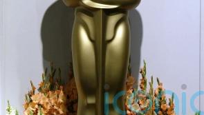 Irish language film An Cail&iacute;n Ci&uacute;in submitted for Best International Feature at the Oscars 