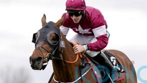 Grand National hero Tiger Roll finishes down the field at Navan