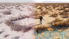 The Green Planet: Attenborough returns to visit 'extraordinary' desert plant he filmed 40 years previously