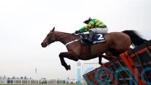 Champ tops Cleeve Hurdle billing at Cheltenham