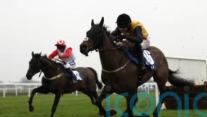 Case charting direct route to Cheltenham for Cobblers Dream